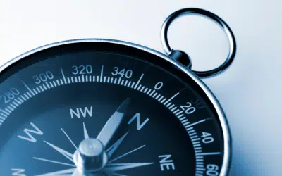 Navigating Strategic Change Amid Uncertainty