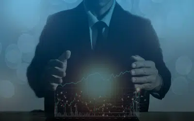 Peaks And Shoulders: Managing The Volatility Of Seasonal Businesses