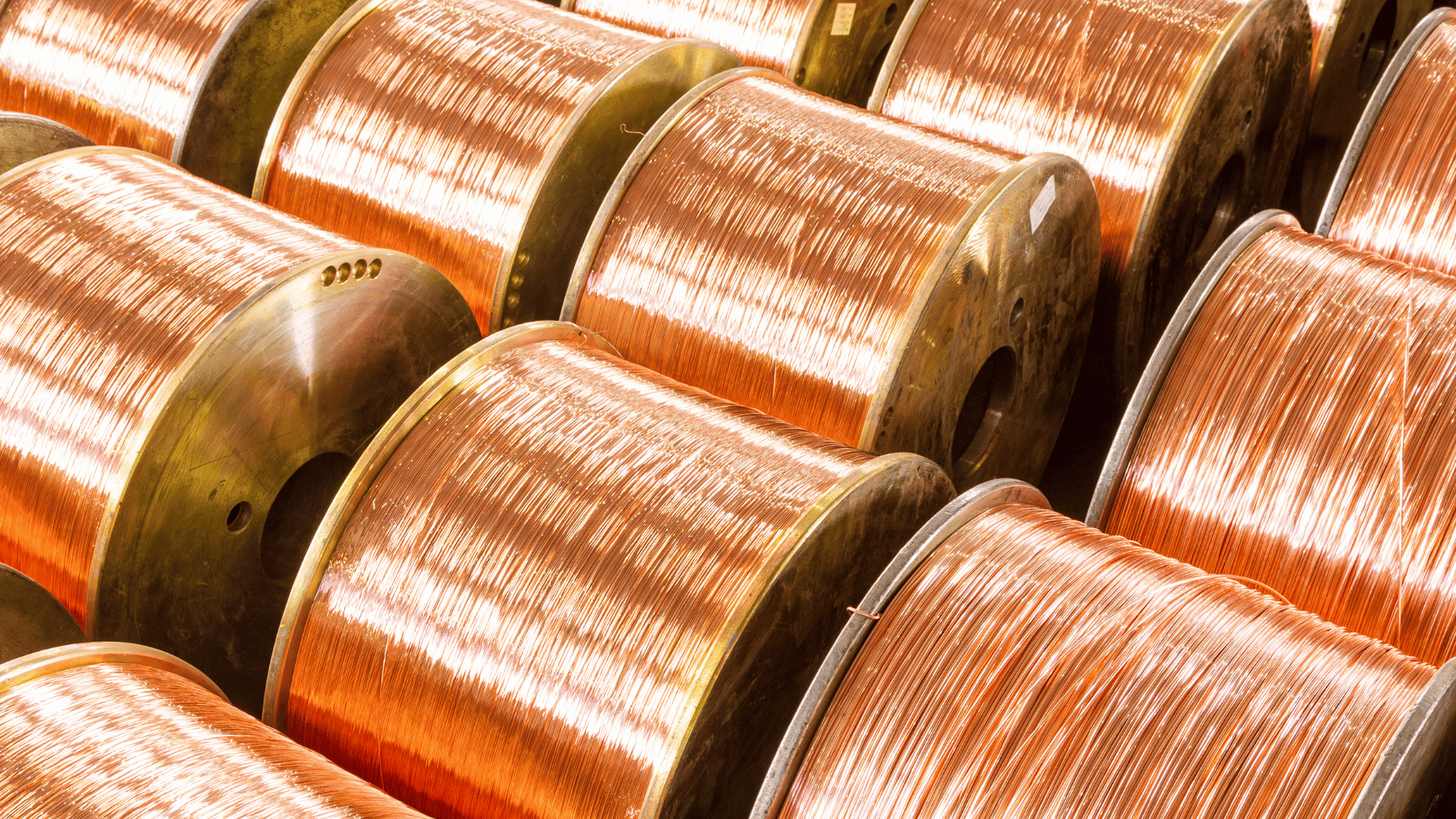 Optimizing inventory and operations across a multi-branch distribution network