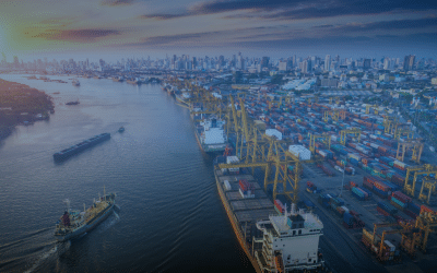 Supply Chain Strategy Unpacked: The Struggle to Diversify