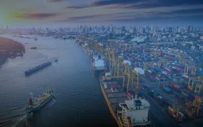 Supply Chain Strategy Unpacked: The Struggle to Diversify