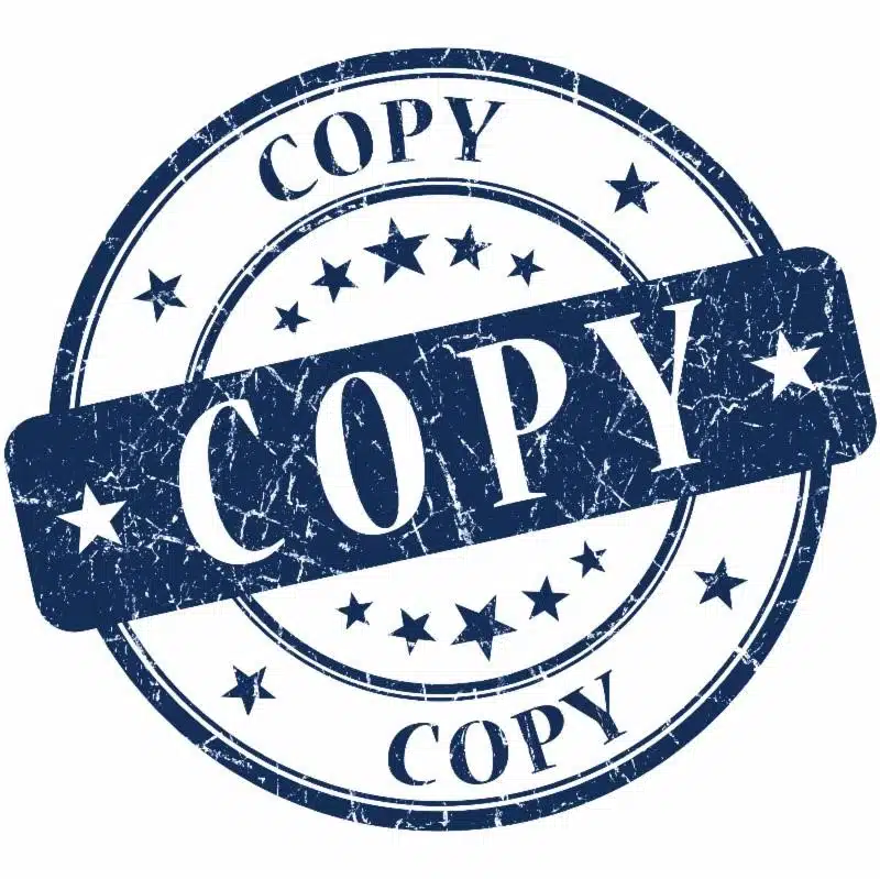 carpedia-observation-41