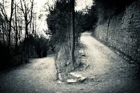 The road to excellence