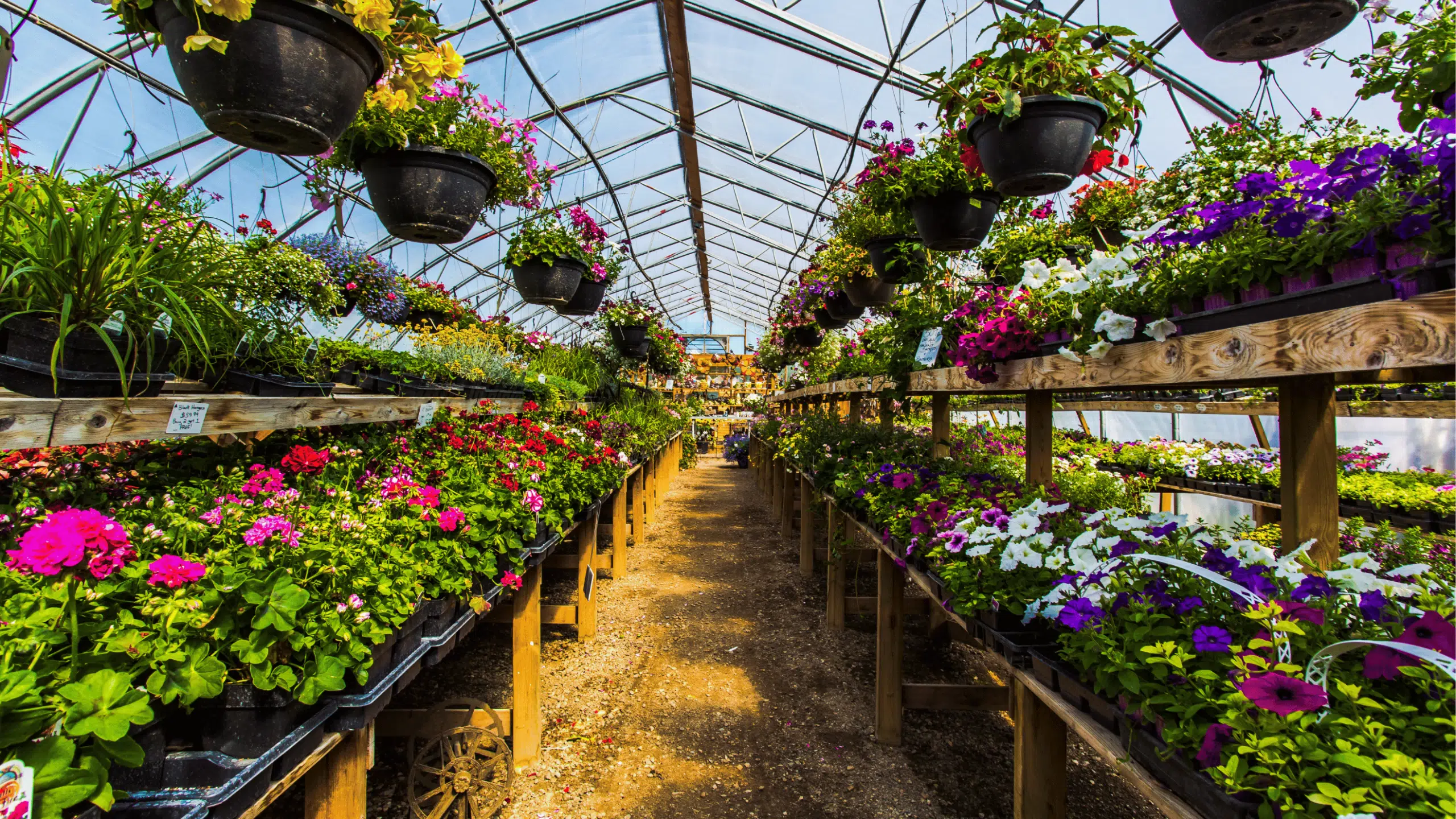 Labor Transformation Through More Effective Planning in a Highly Seasonal Business